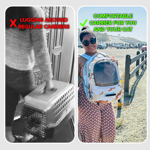 Cat Backpack Carrier with Inbuilt Fan & Light